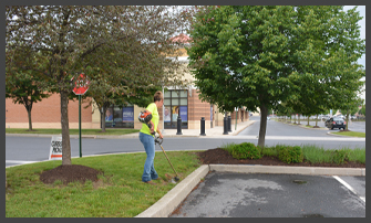 CM Maintenance Landscaping